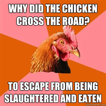 Why did the chicken cross the road? to escape from being slaughtered and eaten - Why did the chicken cross the road? to escape from being slaughtered and eaten  Anti-Joke Chicken