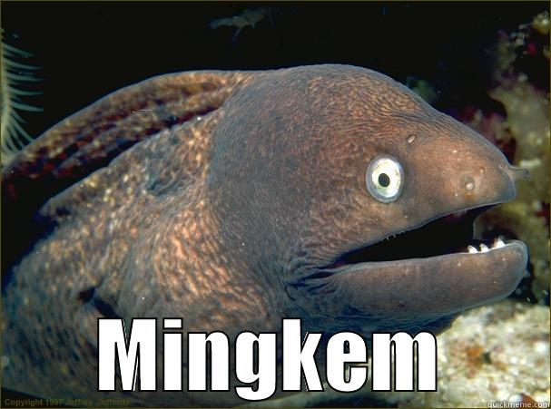  MINGKEM Bad Joke Eel