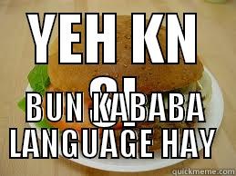 YEH KN SI BUN KABABA LANGUAGE HAY  Misc