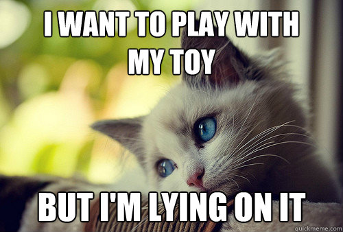 I want to play with 
my toy but I'm lying on it  First World Problems Cat