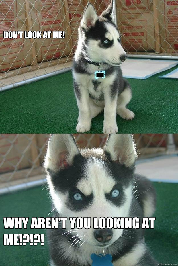 Don't look at me! WHY AREN'T YOU LOOKING AT ME!?!?!  Insanity puppy