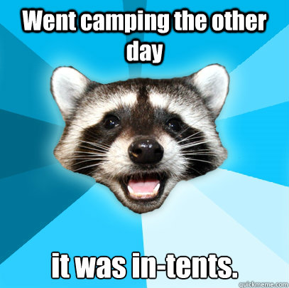 Went camping the other day it was in-tents.   Lame Pun Coon