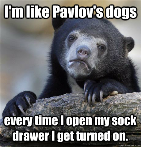I'm like Pavlov's dogs every time I open my sock drawer I get turned on. - I'm like Pavlov's dogs every time I open my sock drawer I get turned on.  Confession Bear