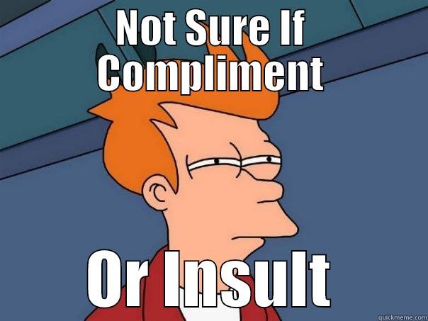 NOT SURE IF COMPLIMENT OR INSULT Futurama Fry