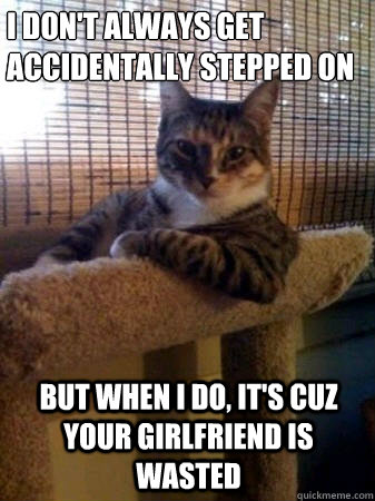 I don't always get accidentally stepped on But when I do, it's cuz your girlfriend is wasted  The Most Interesting Cat in the World