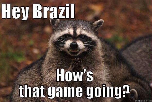 HEY BRAZIL                         HOW'S THAT GAME GOING? Evil Plotting Raccoon