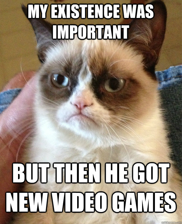 My existence was important  but then he got new video games  Grumpy Cat