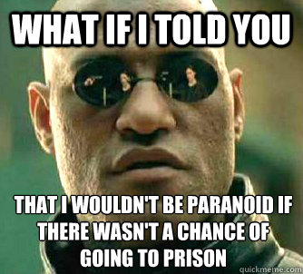 What if I told you that I wouldn't be paranoid if there wasn't a chance of going to prison  What if I told you