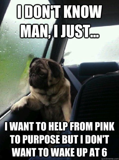 I don't know man, I just... I want to help From Pink to Purpose but I don't want to wake up at 6  Introspective Pug