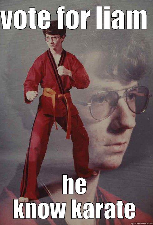 VOTE FOR LIAM  HE KNOW KARATE Karate Kyle
