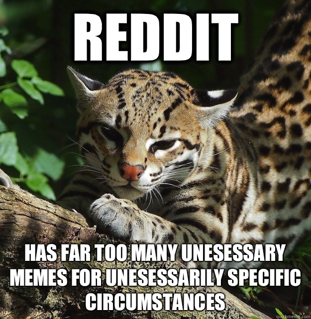 Reddit Has far too many unesessary memes for unesessarily specific circumstances  Opinion Ocelot