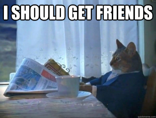 I should get friends   morning realization newspaper cat meme