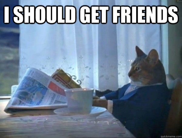 I should get friends   morning realization newspaper cat meme