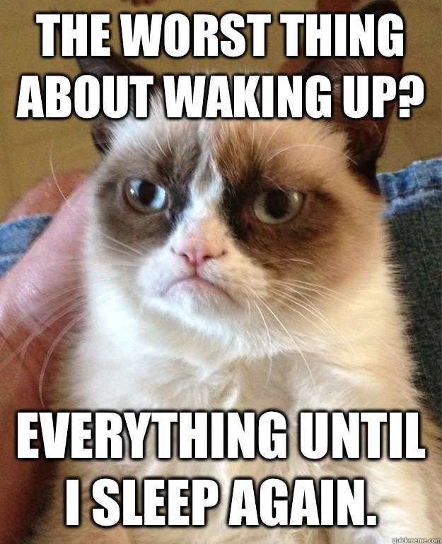 The worst thing about waking up? Everything until I sleep again.  Grumpy Cat
