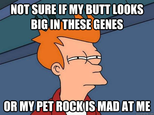 Not sure if MY BUTT LOOKS BIG IN THESE GENES   Or MY PET ROCK is mad at me  Futurama Fry