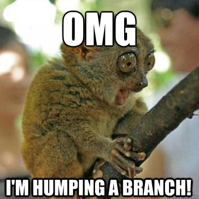 OMG i'm humping a branch!  OMG Bush Baby