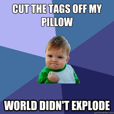 Cut the tags off my pillow World didn't explode  Success Kid