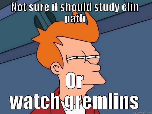 NOT SURE IF SHOULD STUDY CLIN PATH OR WATCH GREMLINS Futurama Fry