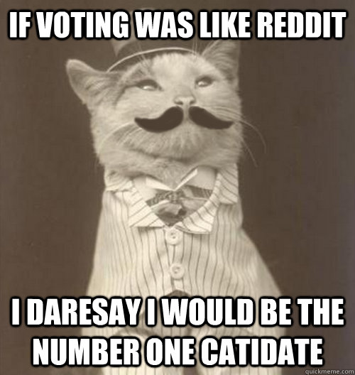 If voting was like reddit I daresay I would be the number one catidate  Original Business Cat