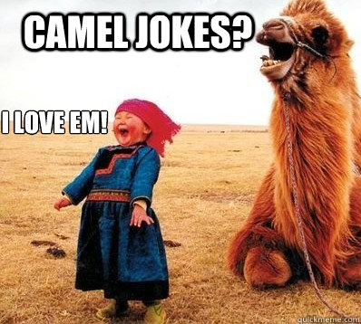 Camel jokes? I love em!  