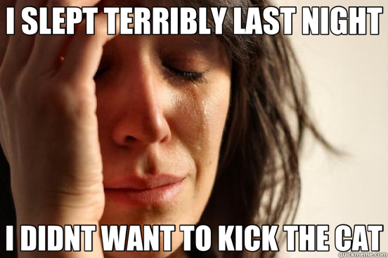 I SLEPT TERRIBLY LAST NIGHT I DIDNT WANT TO KICK THE CAT  First World Problems