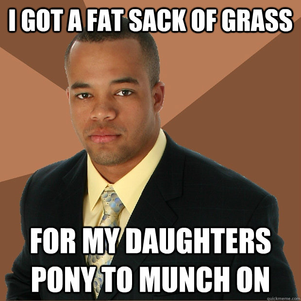 i got a fat sack of grass for my daughters pony to munch on - i got a fat sack of grass for my daughters pony to munch on  Successful Black Man