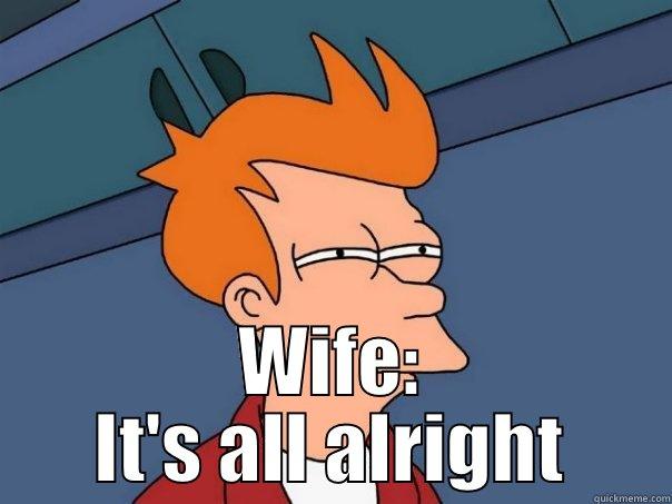  WIFE: IT'S ALL ALRIGHT Futurama Fry