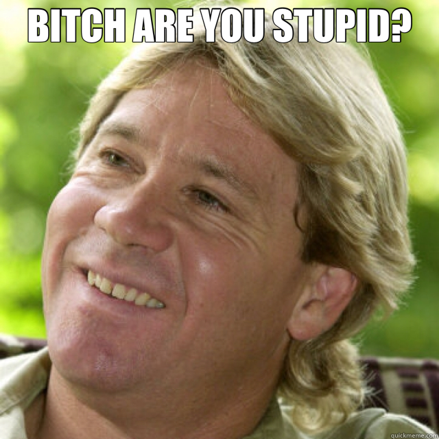 BITCH ARE YOU STUPID?   