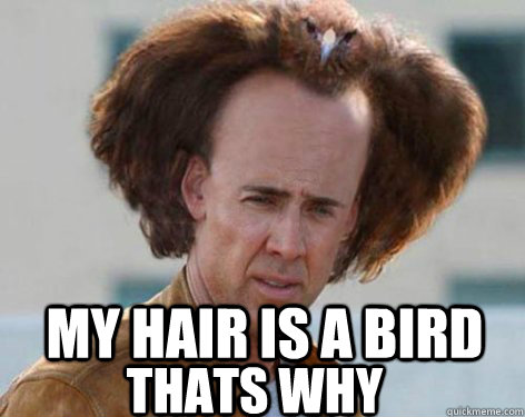 my hair is a bird thats why - my hair is a bird thats why  Crazy Nicolas Cage