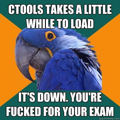 CTOOLS takes a little while to load It's down. you're fucked for your exam  Paranoid Parrot