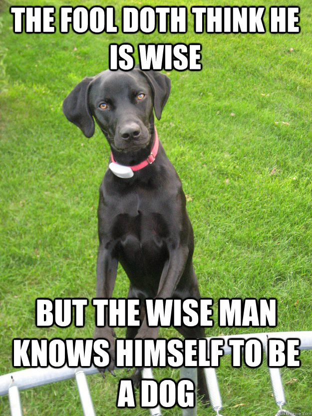 The Fool Doth think he is wise But the wise man knows himself to be a dog  