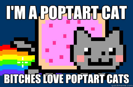 I'm a poptart cat Bitches love poptart cats - I'm a poptart cat Bitches love poptart cats  Nyan cat