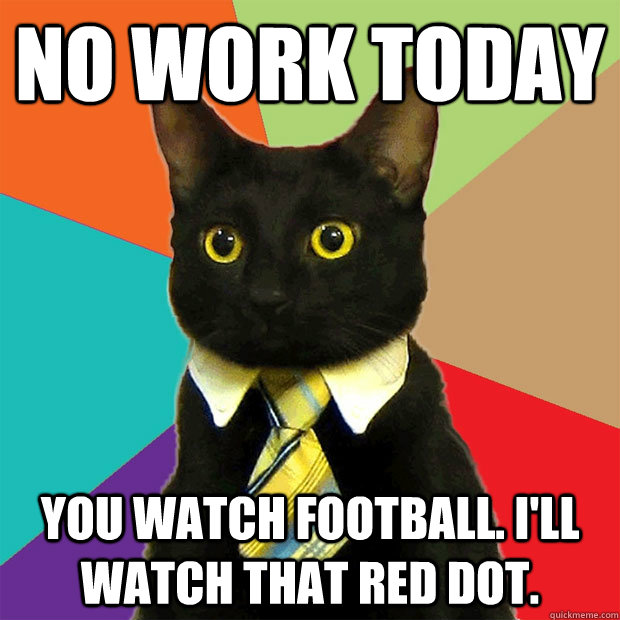 No work today You watch football. I'll watch that red dot.  Business Cat