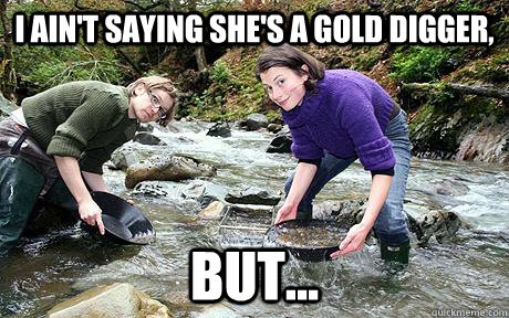 gold digger memes