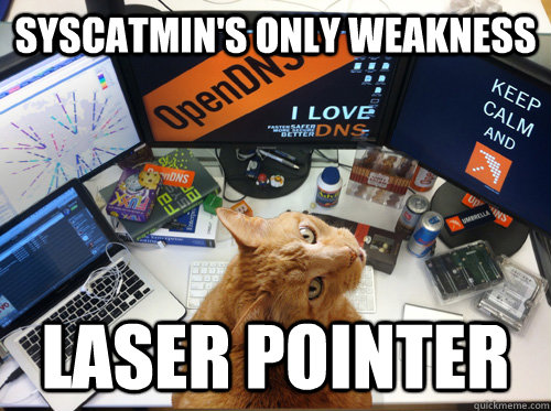 Syscatmin's only weakness laser pointer  SysCatmin