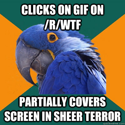 Clicks on gif on /r/wtf partially covers screen in sheer terror   Paranoid Parrot