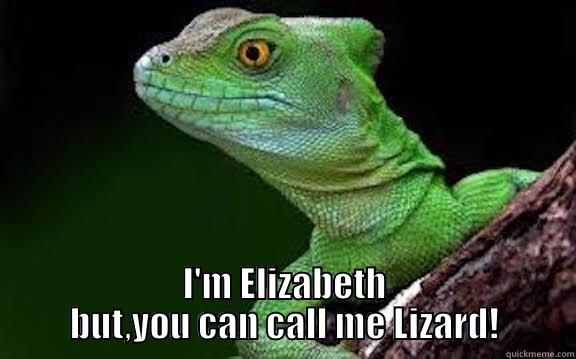 I'M ELIZABETH BUT,YOU CAN CALL ME LIZARD! Misc
