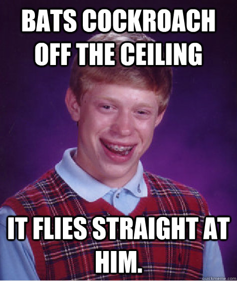 bats cockroach off the ceiling it flies straight at him. - bats cockroach off the ceiling it flies straight at him.  Bad Luck Brian