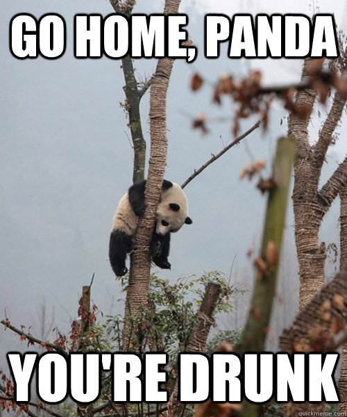 go home, panda you're drunk - go home, panda you're drunk  Cant hold his liquor