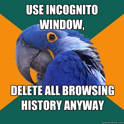 Use incognito window, delete all browsing history anyway  Paranoid Parrot