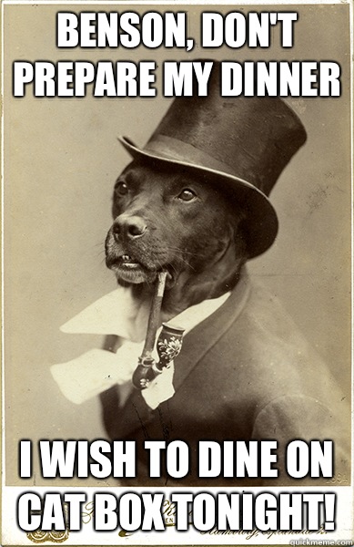 Benson, don't prepare my dinner I wish to dine on cat box tonight! - Benson, don't prepare my dinner I wish to dine on cat box tonight!  Old Money Dog