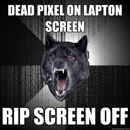 dead pixel on lapton screen rip screen off  Insanity Wolf