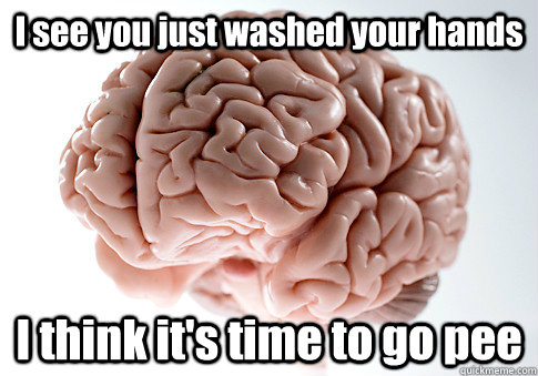 I see you just washed your hands I think it's time to go pee   Scumbag Brain