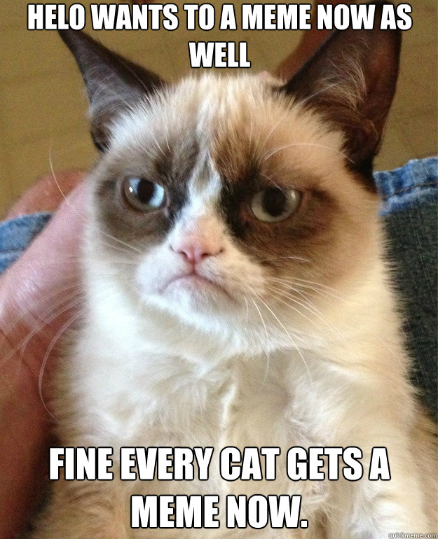 Helo wants to a meme now as well Fine every cat gets a meme now.  Grumpy Cat