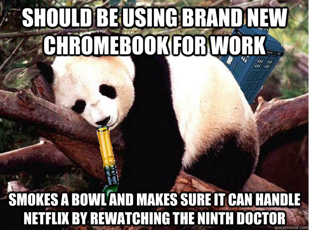 should be using brand new chromebook for work smokes a bowl and makes sure it can handle Netflix by rewatching the ninth doctor  