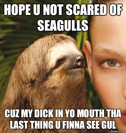 Hope u not scared of seagulls Cuz my dick in yo mouth tha last thing u finna see gul  rape sloth