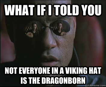 What if I told you Not Everyone in a viking hat is the dragonborn  Morpheus SC