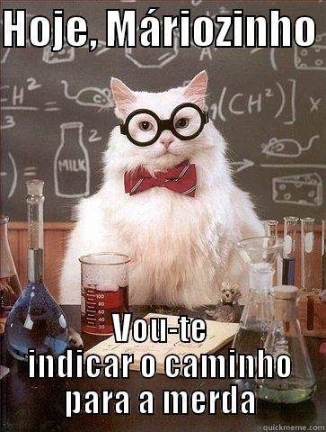 HOJE, MÁRIOZINHO  VOU-TE INDICAR O CAMINHO PARA A MERDA Chemistry Cat