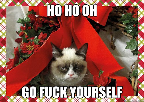 ho ho oh go fuck yourself  A Grumpy Cat Christmas