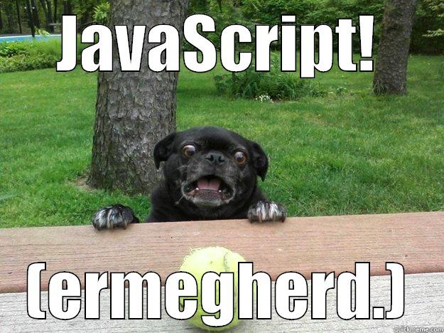 JavaScript Dog - JAVASCRIPT! (ERMEGHERD.) Berks Dog